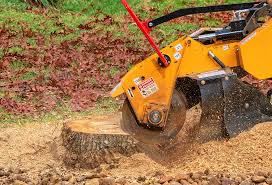 Best Commercial Tree Services  in Germantown, WI