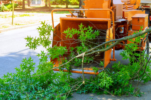 Best Emergency Tree Removal  in Germantown, WI