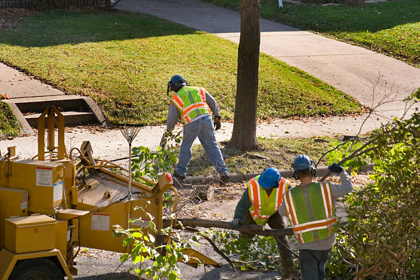 Best Firewood Processing and Delivery  in Germantown, WI